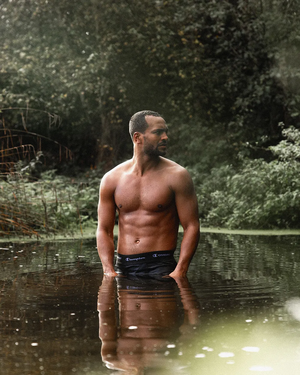 Champion Boxing project image