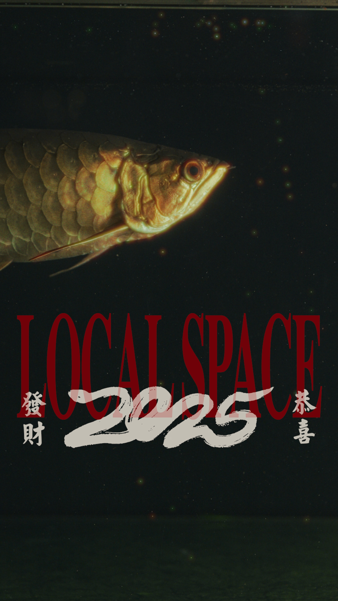 Local Space project image